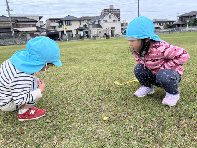 キノコがいっぱい🍄