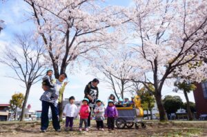 市原園、散歩、お花見、20170413 (1024x680)