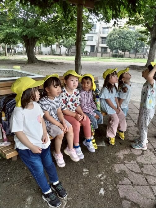しろくま組さん（４歳）雨の合間の外遊び