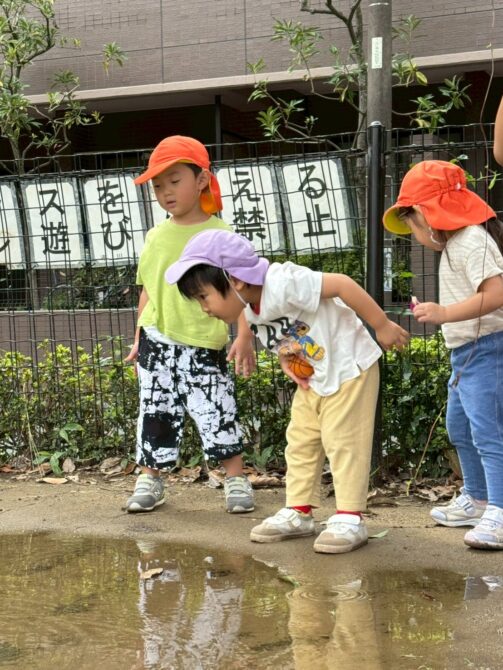ぱんだ組さん（2歳）秋の公園遊び