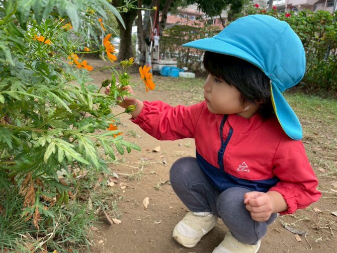 こあら組さん（１歳）秋の自然を探しにいこう