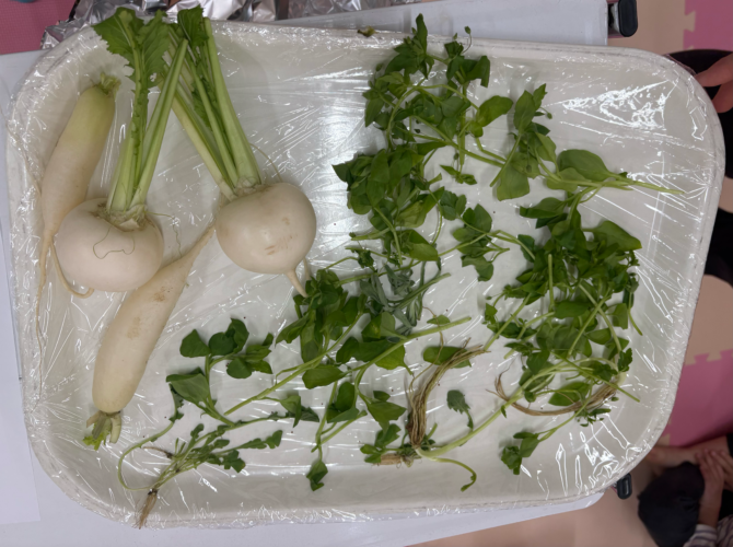 ぱんだ組さん（2歳）春の七草