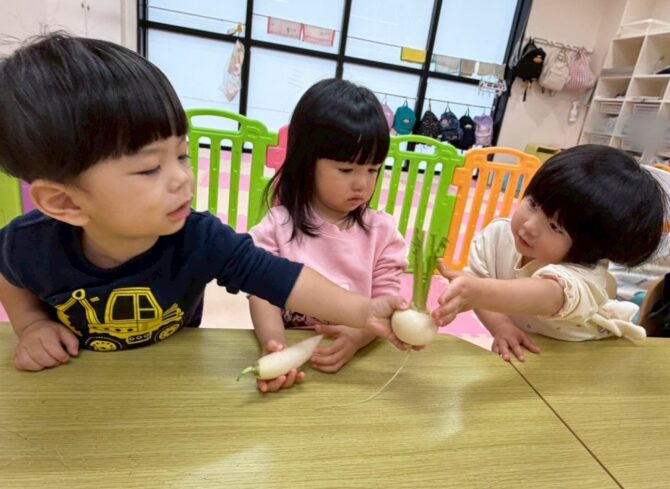 こあら組さん（１歳）春の七草