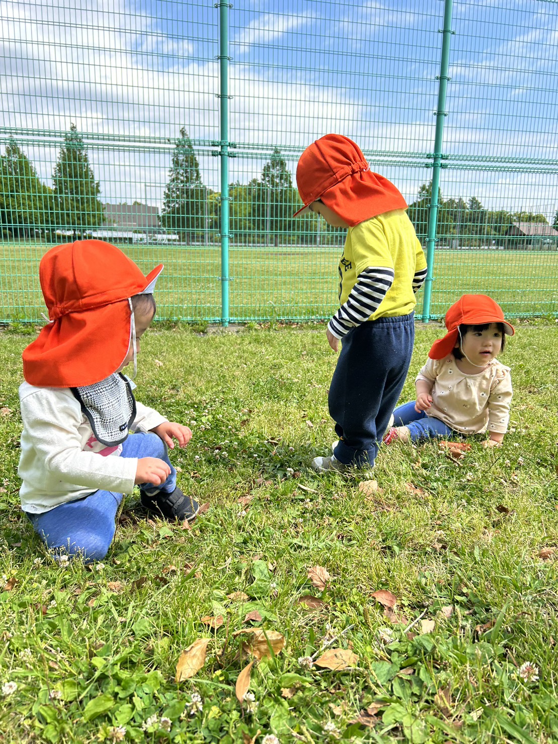 🌳公園で新緑🌳 　中原第二🏠